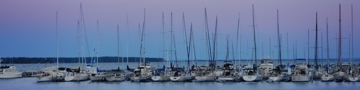 line of sailboats at sunset